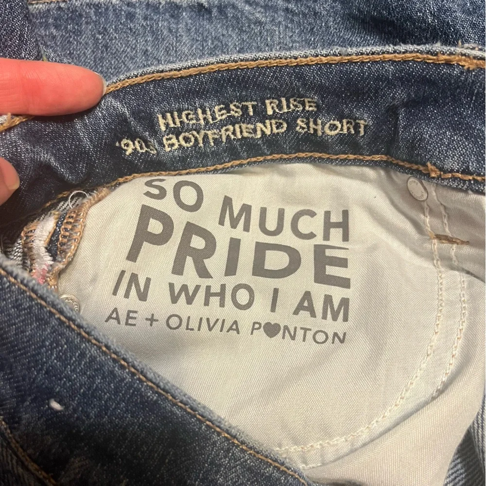 American Eagle Highest Rise 90s Boyfriend Pride Shorts- 10 - Picture 7 of 8